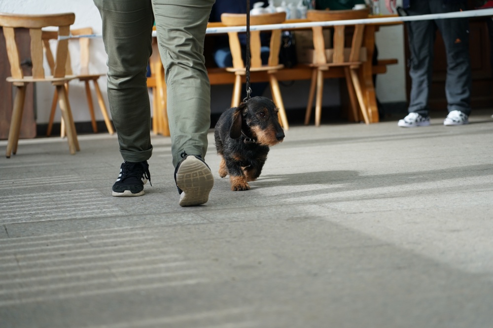 s_A9_09694.jpg